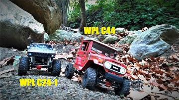 WPL C24-1 And  WPL C44 Trail Run In The Forest!