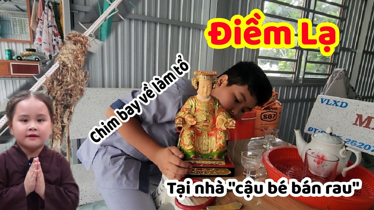 Điềm Lạ - Chim Bay Về Làm Tổ Trước Nơi Thờ Mẫu 