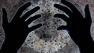 Parasyte