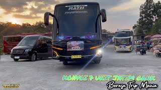 COOL EAST JAVA CONVOY SQUAD‼️