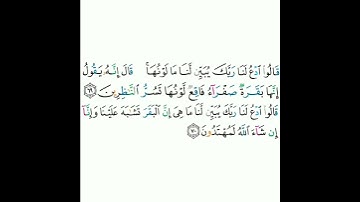 2 - سورة البقرة ٦٩-٧٠ - مشاري بن راشد العفاسي