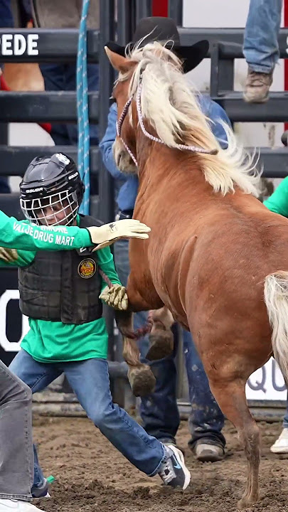 Clotheslined by a pony