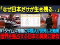 【海外の反応】「なぜ日本が独占してるんだ...」日本だけが生き残った事実をNYタイムズが特集、日本を目の敵にする中国人が真実を知った結果..