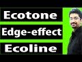 #UPSC #Environment What is Ecotone, Edge Effect and Ecoline ? Difference Between them? | Part-4
