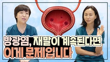 방광염, 방심하면 100% 재발된다??(방광염의 모든 것)