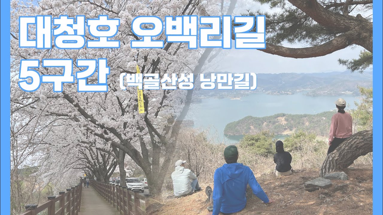 대청호오백리길 5구간 (백골산성 낭만길) & 대청호 벚꽃길
