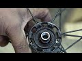 Shimano Bike Wheel Hub Overhaul (Cup and Cone)