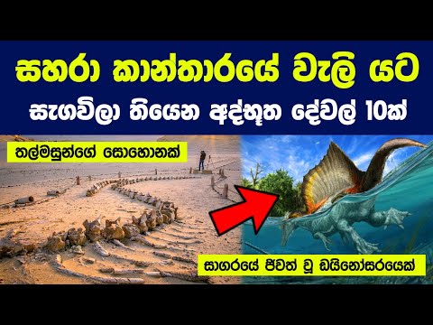 සහරා කාන්තාරය යට සැගවිලා තියෙන අද්භූත දේවල් 10ක් | 10 Strangest things found under the Sahara Desert