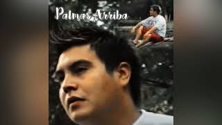 Palmas Arriba - Mix éxitos (De Aky Pa Ya)