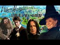 【声真似】ハリーポッターキャラが杖ではなく銃を持った結果ｗpart１【Harry Potter × フォートナイト 】