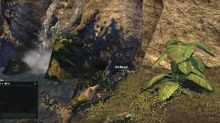 greenshade treasure map 4