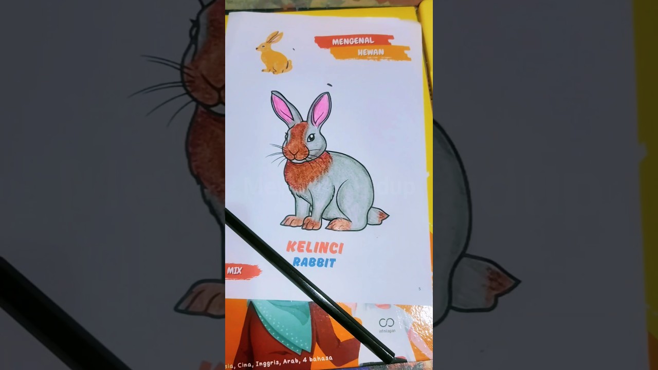 Mewarnai kelinci | Coloring rabbit 
