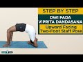 Dwi Pada Viprita Dandasana (Upward Facing Two-Foot Staff Pose) Benefits, How to Do  - Siddhi Yoga