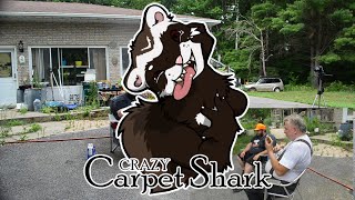 PLC Taste Test - Crazy Carpet Shark