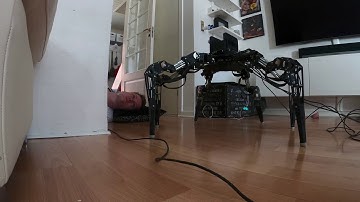 Hexapod Dance: Getting several camera angles of victim
