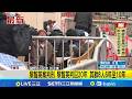 黎智英被判刑