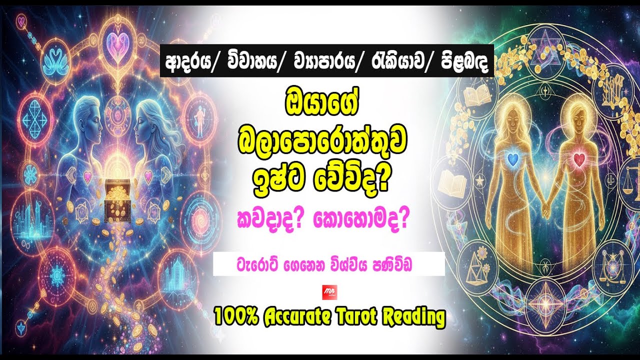 ✨ඔයාගේ බලාපොරොත්තුව ඉෂ්ට වනවාමයි? ටැරොට් කියන විශ්වීය පණිවිඩය. #sinhalatarot #love #horoscope 🔮🌈