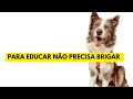 Resultados MEU filhote CDF ( Letícia e Vanessa)