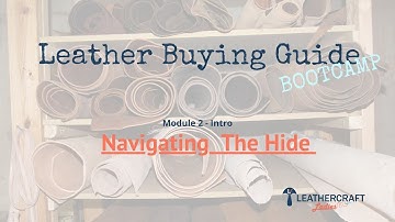 Leather Buying Guide - Module 2 Intro -Navigating The Hide