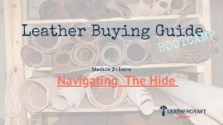 Leather Buying Guide - Module 2 Intro -Navigating The Hide
