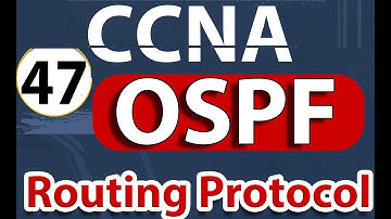 OSPF Routing Protocol , OSPF protocol شرح ، ospf configuration packet tracer,  OSPF شرح