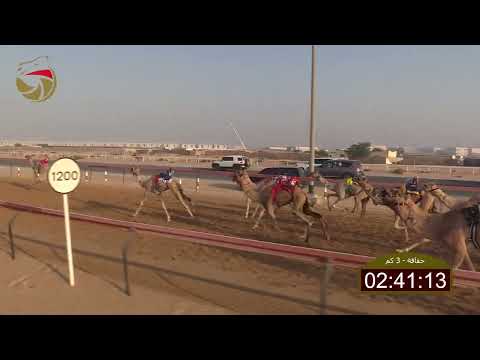 سباق الحقاقة الطي 05 10 2025 ش10 حشيم ل محمد جمعه الغويص السويدي 4 36