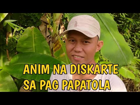 Video: Tulong Para sa Pagkalantang Halaman ng Okra - Mga Tip Para sa Pamamahala ng Okra Gamit ang Fusarium Wilt