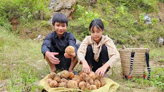 Homeless boy and poor girl picking forest fruits to sell and buy food - Homeless Boy