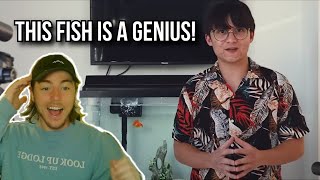 Fish Biologist reacts to: I Gave My Goldfish $50,000 to Trade Stocks by Michael Reeves