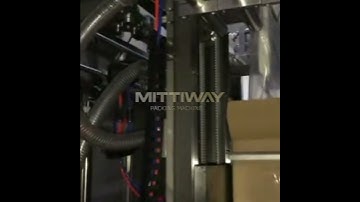 Fresh meat bagging inserter machine,bag inserting and closing packaging machine,bag in jar inserter