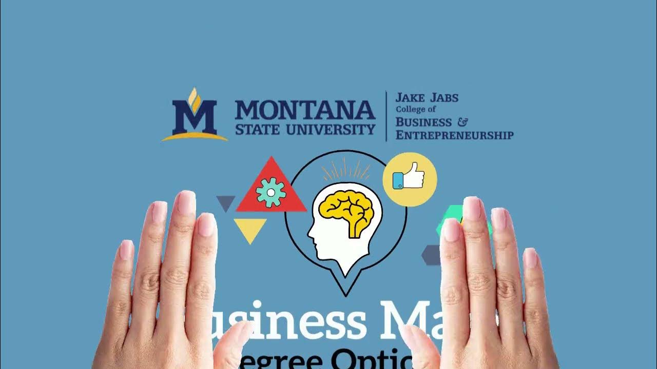 MSU Business Major Degree Options Overview YouTube