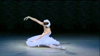 Video thumbnail of "Saint-Saens, A Morte do Cisne - Como morre um Cisne, comparação de 7 prima-ballerinas"