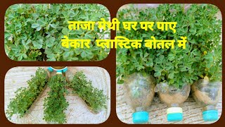 प्लास्टिक बोतल में  अनोखे तरीके से उगाए हरी सब्जियां#मेथी+धनिया#use of plastic bottles in gardening