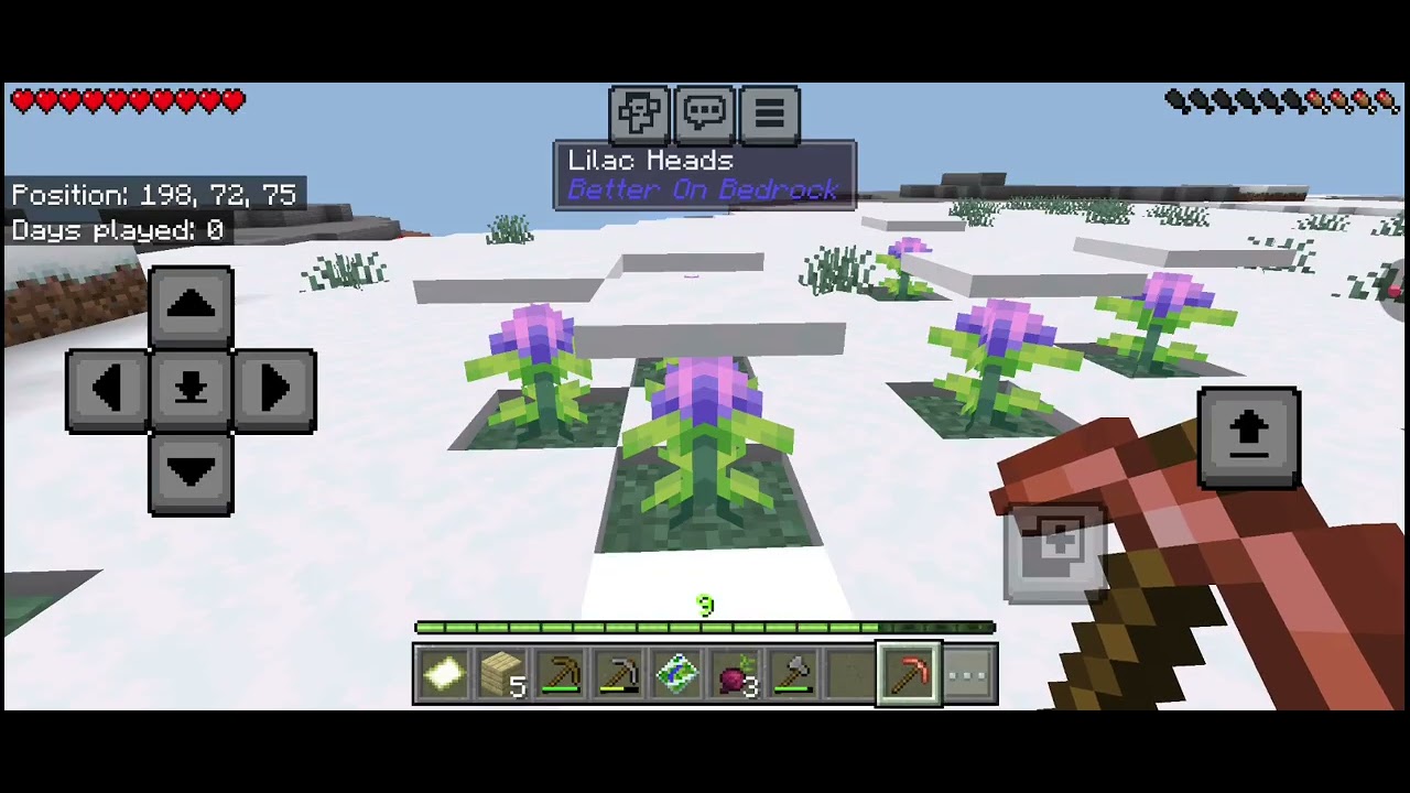 |☆| BETTER ON BEDROCK! |☆| Single Player Series |★| Ep. 1 |★|