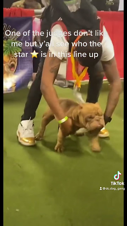 A lot of amateurs, one professional Billy Dee