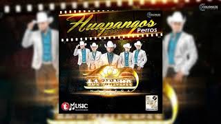 La Zenda Norteña - Huapangos Perros