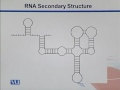 BIF733 Bioinformatics I (Essentials of Genome Informatics) Lecture No 178