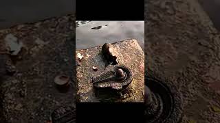 Sabse Shkti Shali Mahadev Ka Msntr🙏🙏🙏🙏🙏📿📿📿📿📿👍👍👍👍 Resimi