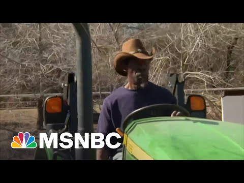 Black Farmers Face Delays In Pandemic Debt-Relief As Prices Soar