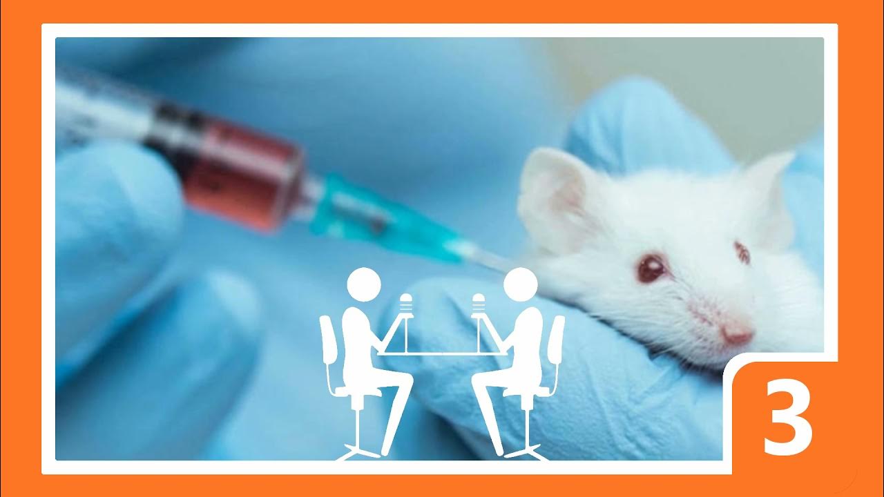 Is Animal Testing Ethical? Topilitical Podcast Episode 3 YouTube