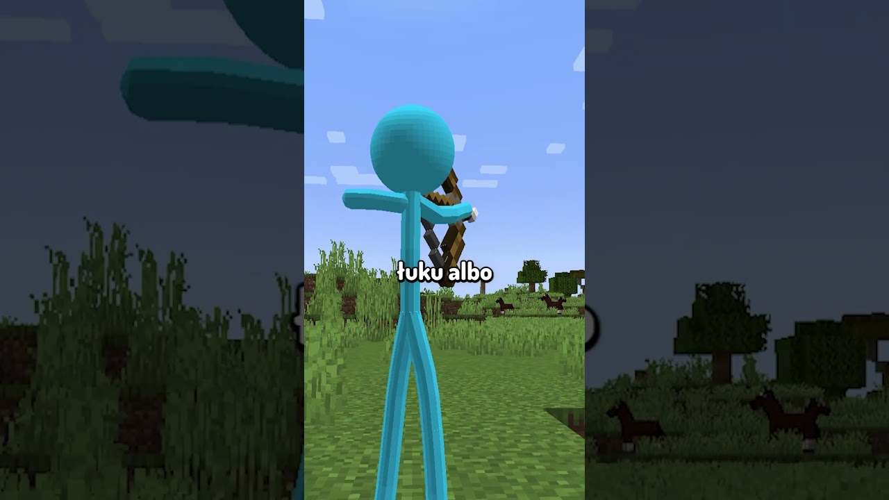 STICKMAN W MINECRAFT