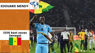 Edouard Mendy (ED16) best saves senegal