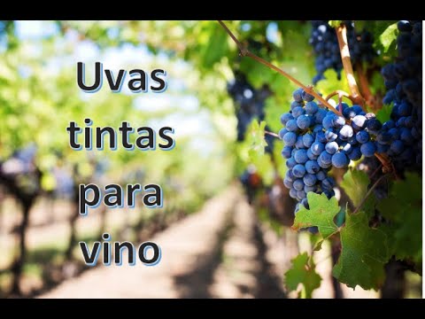 Video: Cristal de uva: descripción y características