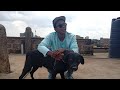 STREET HUKAZA OFFICIAL VIDEO 
