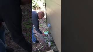 Exclusive Diatomaceous Earth, kills, carpenter ants, roach, cockroach,  flies, leaf eater bugs, earwigs,. Details