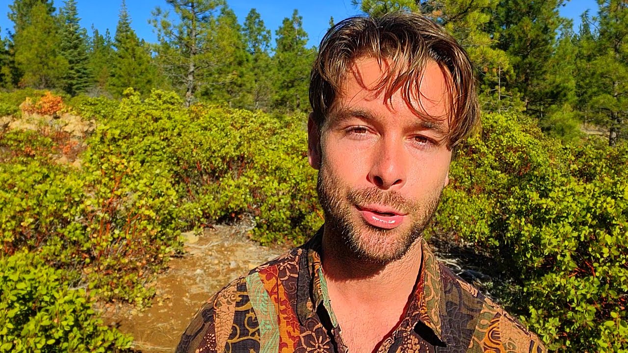 Вы ведь применяли заклинания, не так ли?