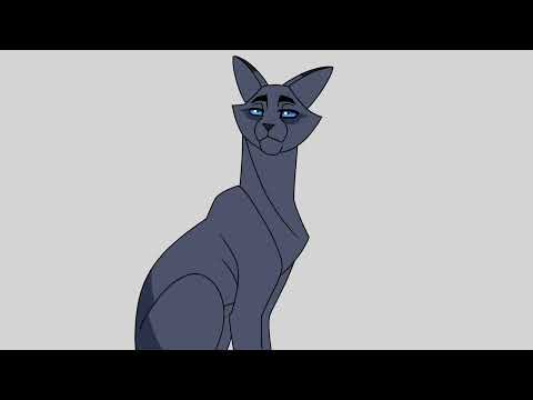 crowfeather and nightcloud talk about their marriage