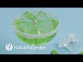 Whip up a margarita gel candle with natures garden