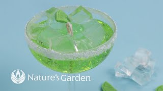 Whip Up a Margarita Gel Candle with Natures Garden