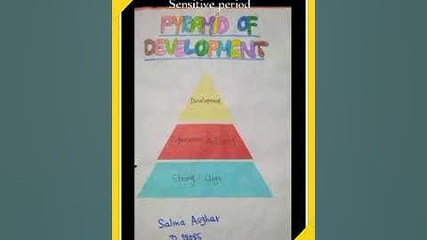 Montessori Portfolio Part 1(Teacher Guide)First position Grade A+ 100/100 Marks👍👍👍